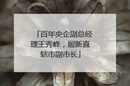 百年央企副总经理王秀峰，履新直辖市副市长