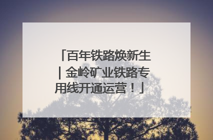 百年铁路焕新生｜金岭矿业铁路专用线开通运营！