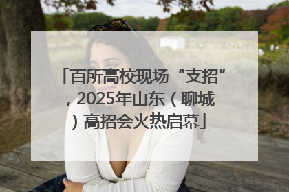 百所高校现场“支招”，2025年山东（聊城）高招会火热启幕