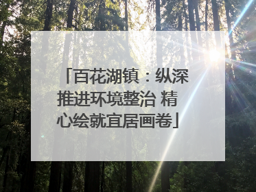 百花湖镇：纵深推进环境整治 精心绘就宜居画卷