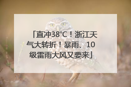 直冲38℃！浙江天气大转折！暴雨、10级雷雨大风又要来
