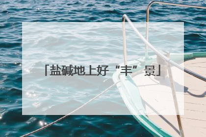 盐碱地上好“丰”景