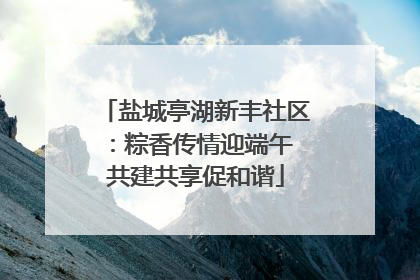 盐城亭湖新丰社区：粽香传情迎端午 共建共享促和谐
