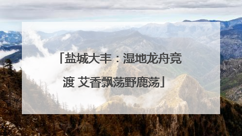 盐城大丰：湿地龙舟竞渡 艾香飘荡野鹿荡