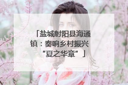盐城射阳县海通镇：奏响乡村振兴“夏之华章”