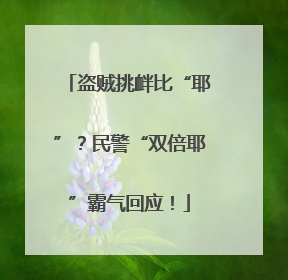 盗贼挑衅比“耶”？民警“双倍耶”霸气回应！