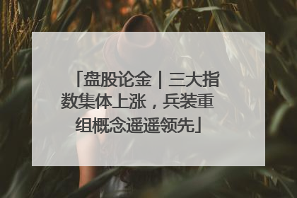 盘股论金｜三大指数集体上涨，兵装重组概念遥遥领先