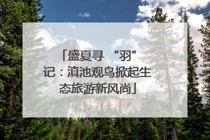 盛夏寻 “羽” 记：滇池观鸟掀起生态旅游新风尚