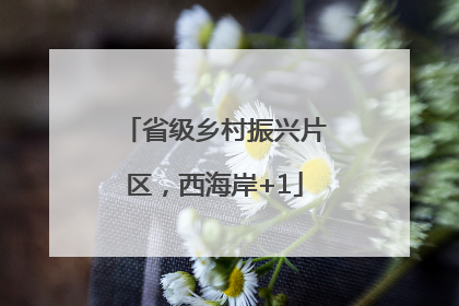 省级乡村振兴片区，西海岸+1