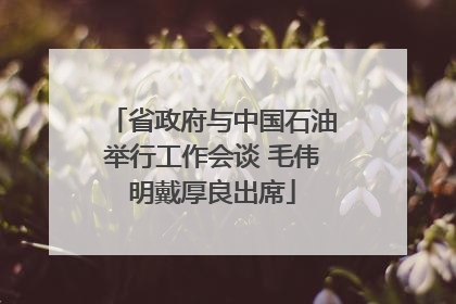 省政府与中国石油举行工作会谈 毛伟明戴厚良出席