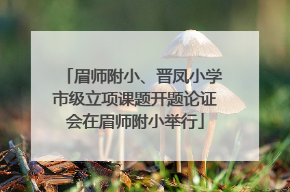 眉师附小、晋凤小学市级立项课题开题论证会在眉师附小举行