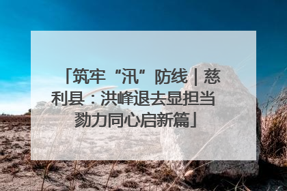 筑牢“汛”防线｜慈利县：洪峰退去显担当 勠力同心启新篇
