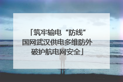 筑牢输电“防线” 国网武汉供电多维防外破护航电网安全