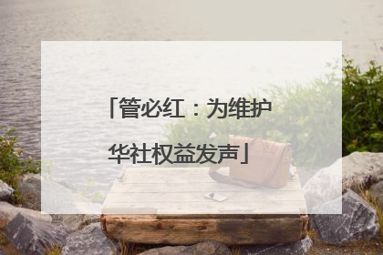 管必红：为维护华社权益发声