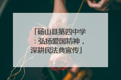 砀山县第四中学：弘扬爱国精神，深耕民法典宣传
