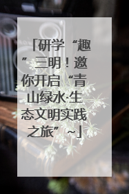 研学“趣”三明！邀你开启“青山绿水·生态文明实践之旅”~