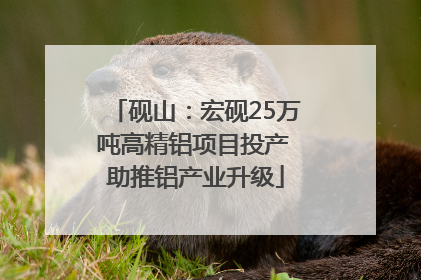 砚山：宏砚25万吨高精铝项目投产 助推铝产业升级