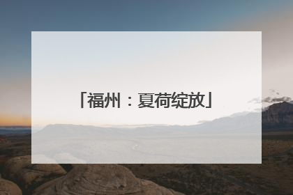 福州：夏荷绽放
