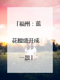福州：蓝花楹盛开成一景