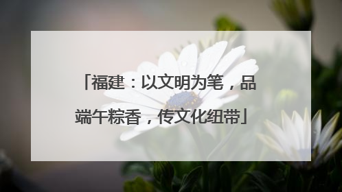 福建：以文明为笔，品端午粽香，传文化纽带