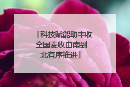 科技赋能助丰收 全国麦收由南到北有序推进