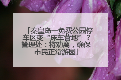 秦皇岛一免费公园停车区变“床车营地”？管理处：将劝离，确保市民正常游园