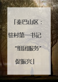 秦巴山区：驻村第一书记“组团服务”促振兴