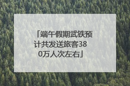 端午假期武铁预计共发送旅客380万人次左右
