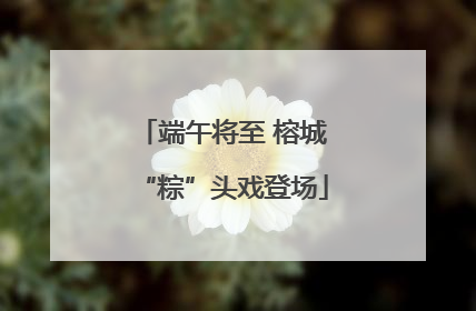 端午将至 榕城“粽”头戏登场