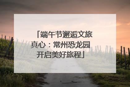 端午节邂逅文旅真心：常州恐龙园开启美好旅程