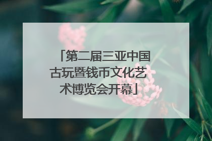第二届三亚中国古玩暨钱币文化艺术博览会开幕
