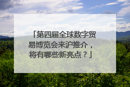 第四届全球数字贸易博览会来沪推介，将有哪些新亮点？