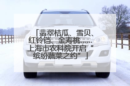 翡翠桔瓜、雪贝、红铃铛、金寿桃……上海市农科院开启“缤纷蔬菜之约”