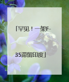 罕见！一架F-35滞留印度