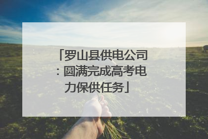 罗山县供电公司：圆满完成高考电力保供任务