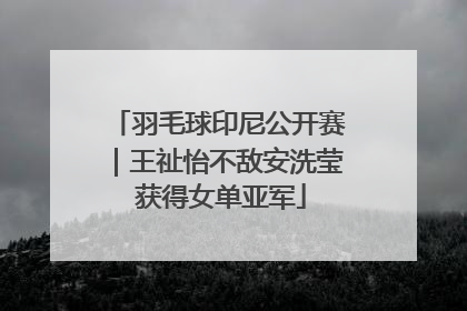 羽毛球印尼公开赛｜王祉怡不敌安洗莹 获得女单亚军