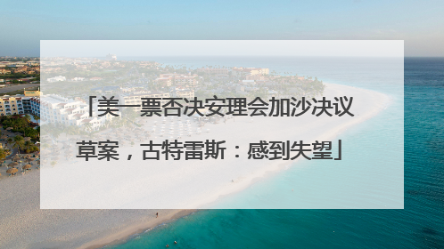 美一票否决安理会加沙决议草案，古特雷斯：感到失望