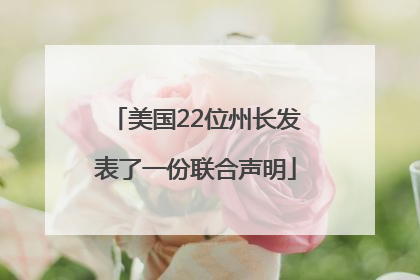 美国22位州长发表了一份联合声明