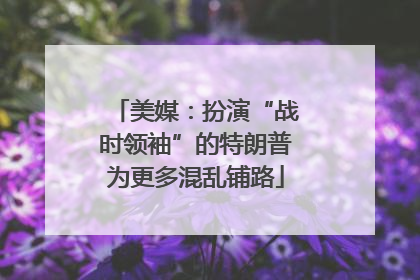 美媒：扮演“战时领袖”的特朗普为更多混乱铺路