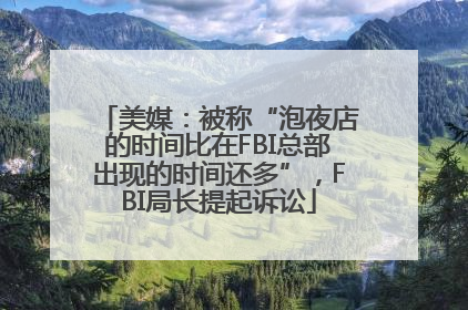美媒：被称“泡夜店的时间比在FBI总部出现的时间还多”，FBI局长提起诉讼