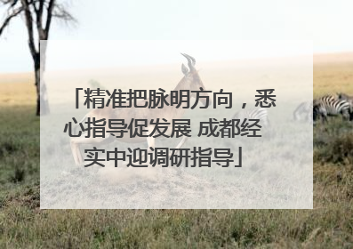 精准把脉明方向，悉心指导促发展 成都经实中迎调研指导