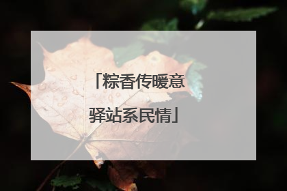 粽香传暖意 驿站系民情