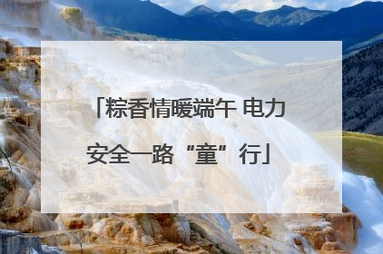 粽香情暖端午 电力安全一路“童”行