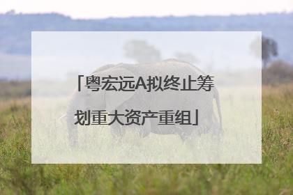 粤宏远A拟终止筹划重大资产重组