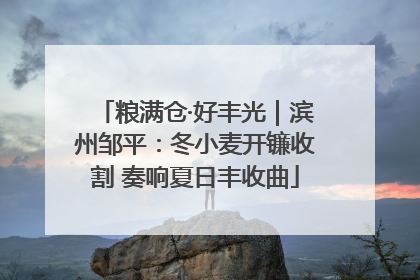 粮满仓·好丰光｜滨州邹平：冬小麦开镰收割 奏响夏日丰收曲