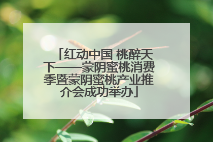 红动中国 桃醉天下——蒙阴蜜桃消费季暨蒙阴蜜桃产业推介会成功举办