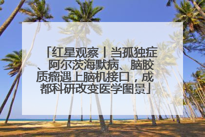 红星观察丨当孤独症、阿尔茨海默病、脑胶质瘤遇上脑机接口，成都科研改变医学图景