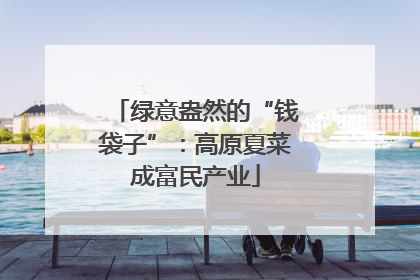 绿意盎然的“钱袋子”：高原夏菜成富民产业