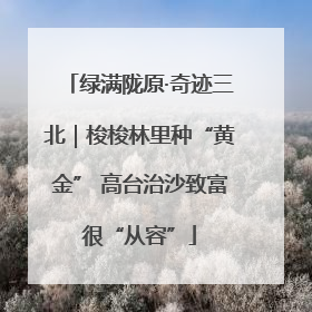 绿满陇原·奇迹三北｜梭梭林里种“黄金” 高台治沙致富很“从容”