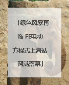 绿色风暴再临 FE电动方程式上海站圆满落幕